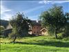IMG-20211003-WA0002