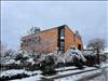 IMG-20241223-WA0000